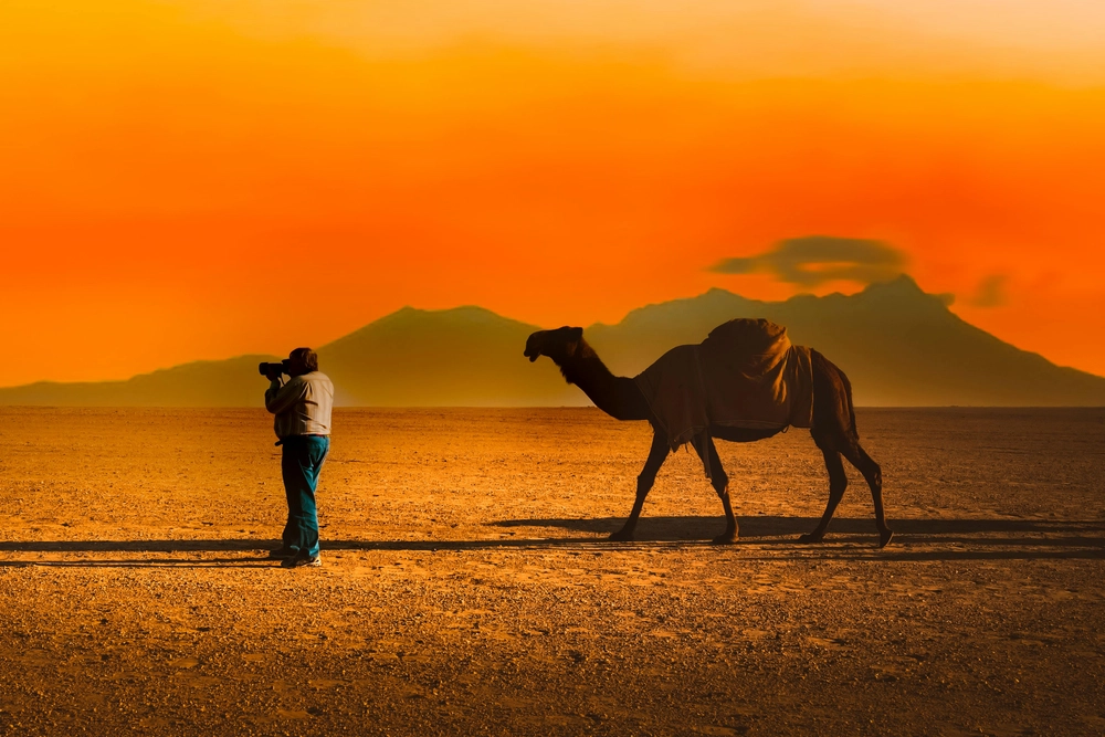10 Desert Safari Photoshoot Ideas for Perfect Desert Shots