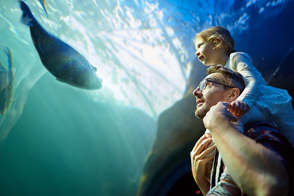 Ultimate Dubai Itinerary Guide – Plan Your Perfect Trip