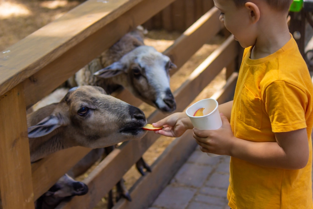 12 Fun Things to Do in Dubai with Kids and Family