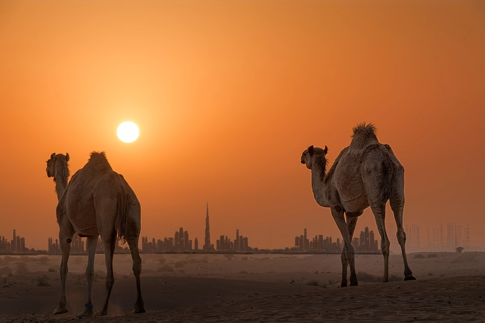 Weather in Dubai: Best Time to Visit & Seasonal Breakdown